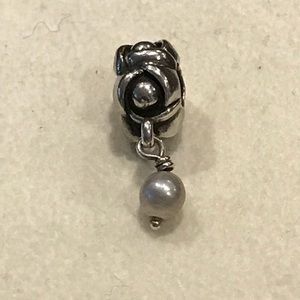 Pandora dangle charm
